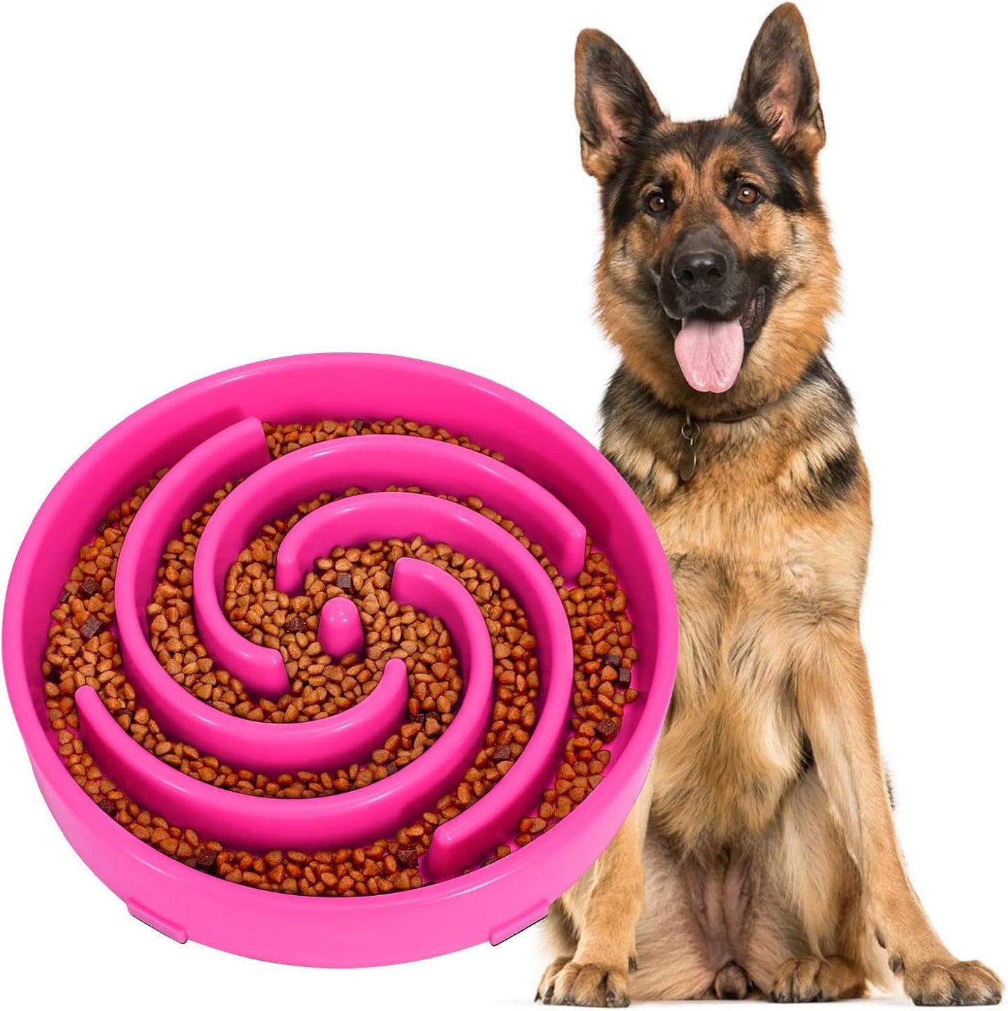 Slow Feeder Dog Bowl 