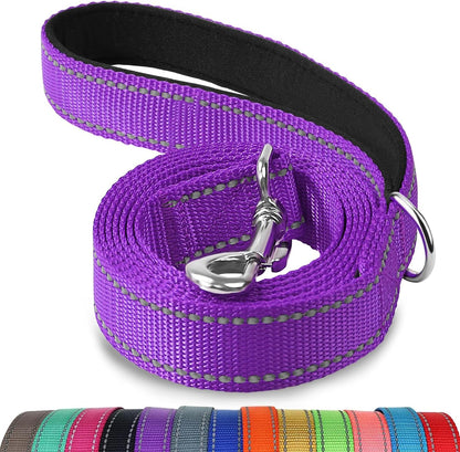 Heavy Duty Nylon Dog Leash