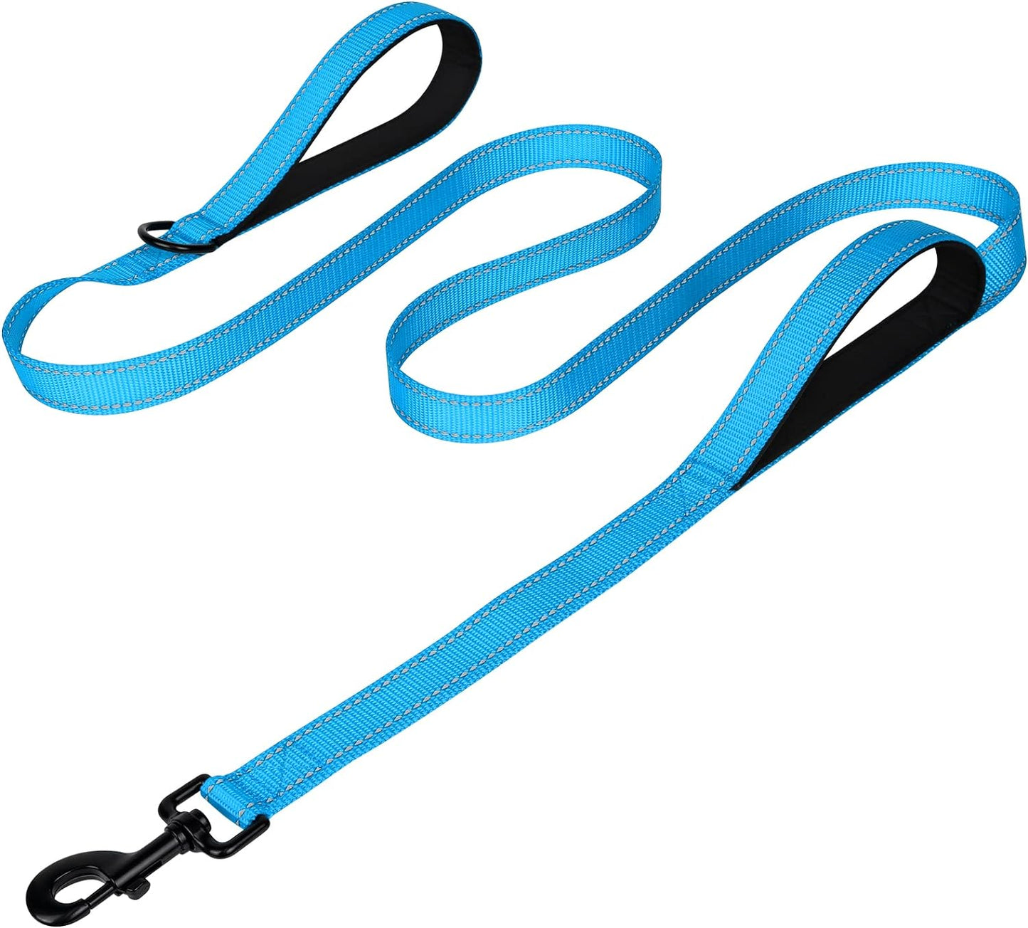 Heavy Duty Nylon Dog Leash
