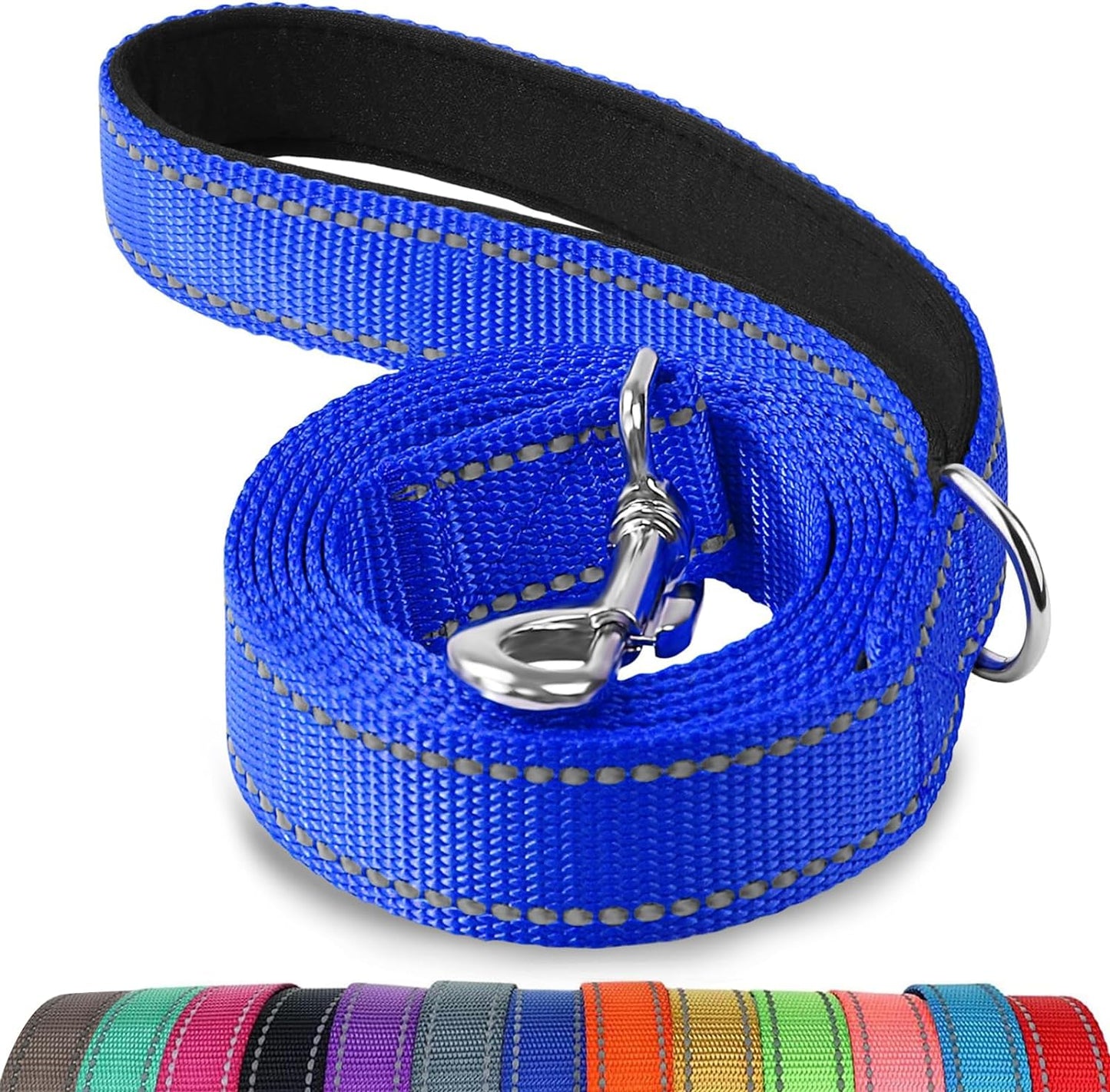 Heavy Duty Nylon Dog Leash