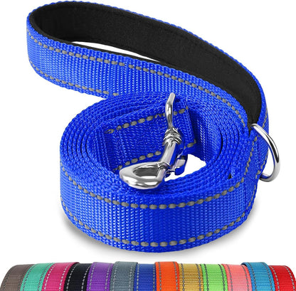 Heavy Duty Nylon Dog Leash