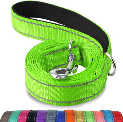Heavy Duty Nylon Dog Leash