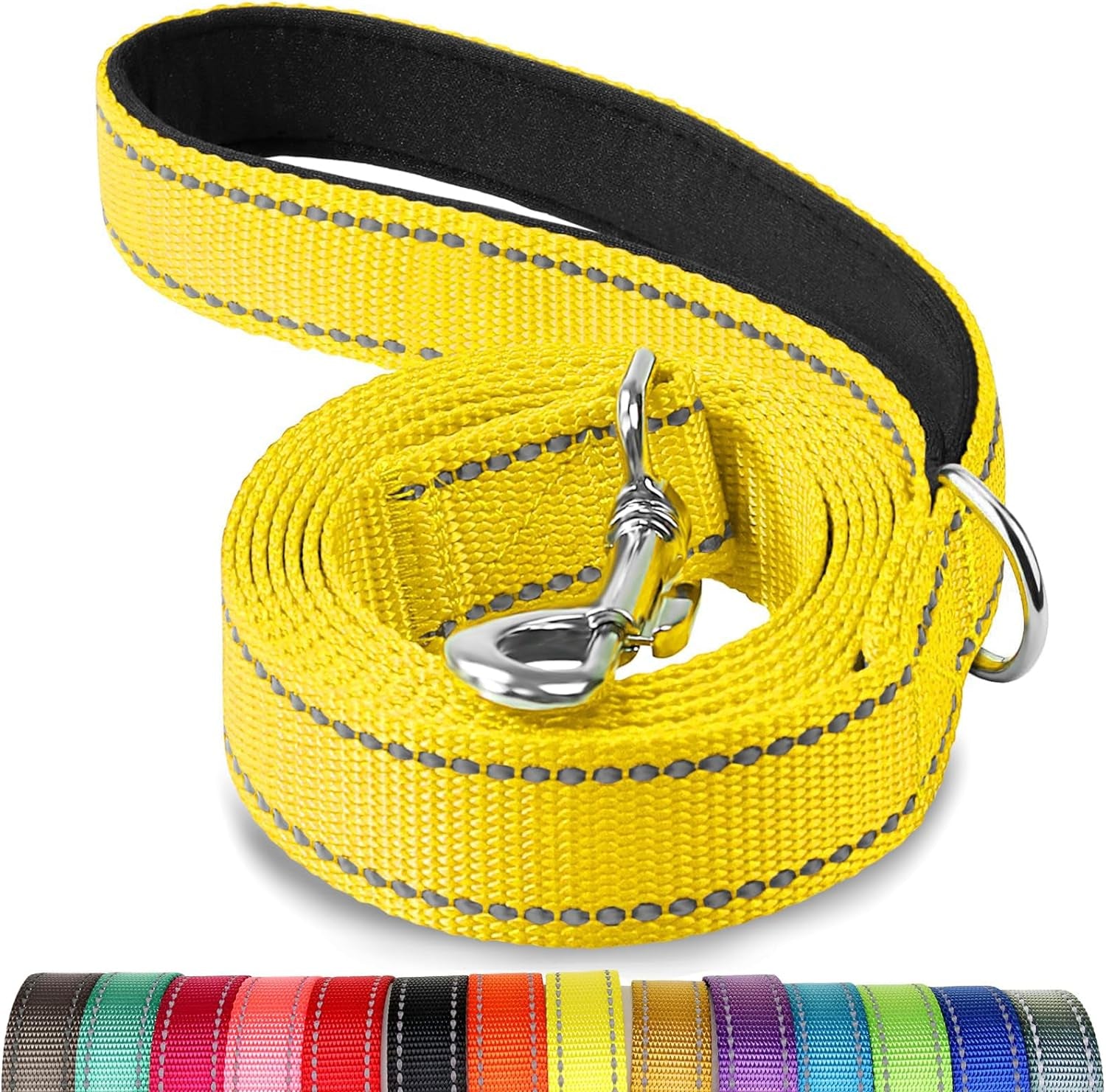 Heavy Duty Nylon Dog Leash