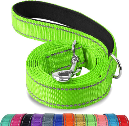 Heavy Duty Nylon Dog Leash