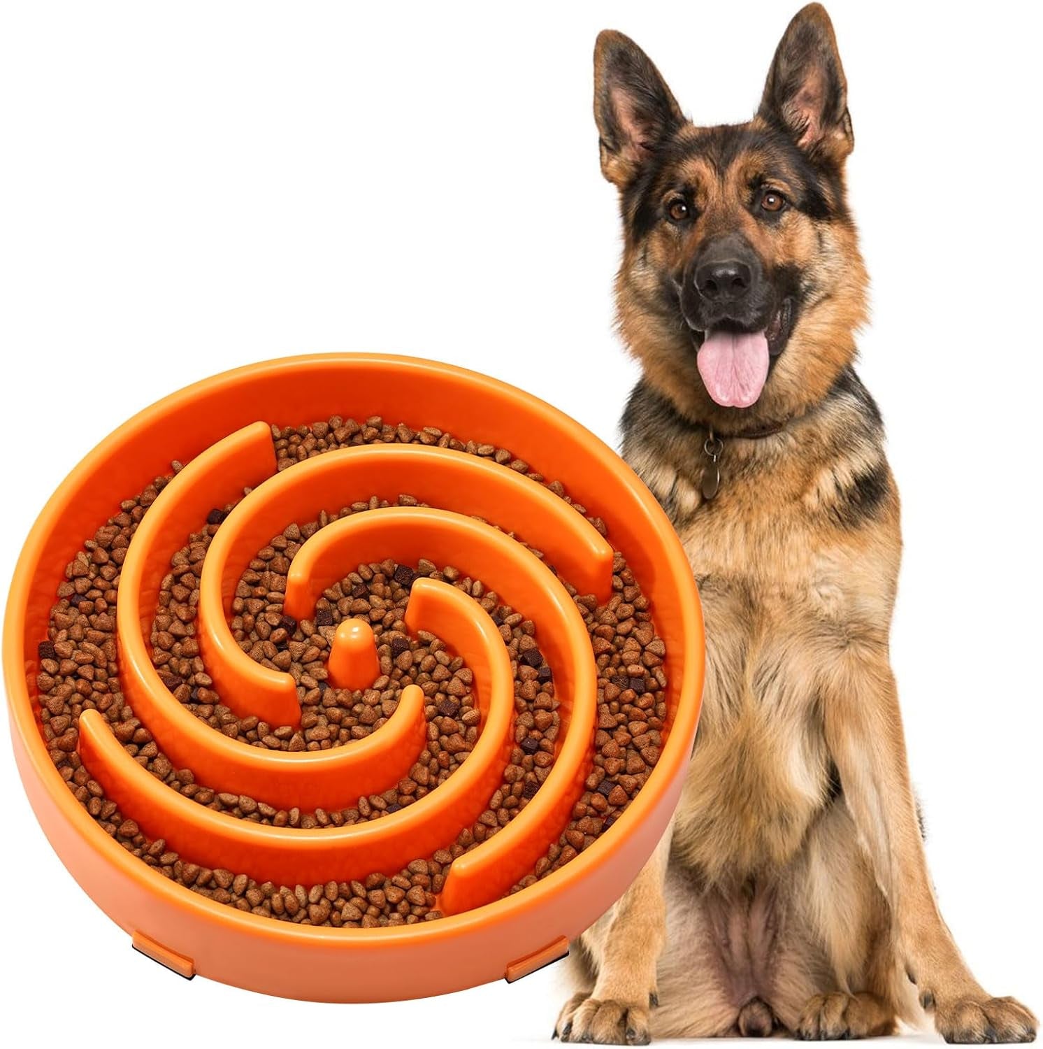 Slow Feeder Dog Bowl 