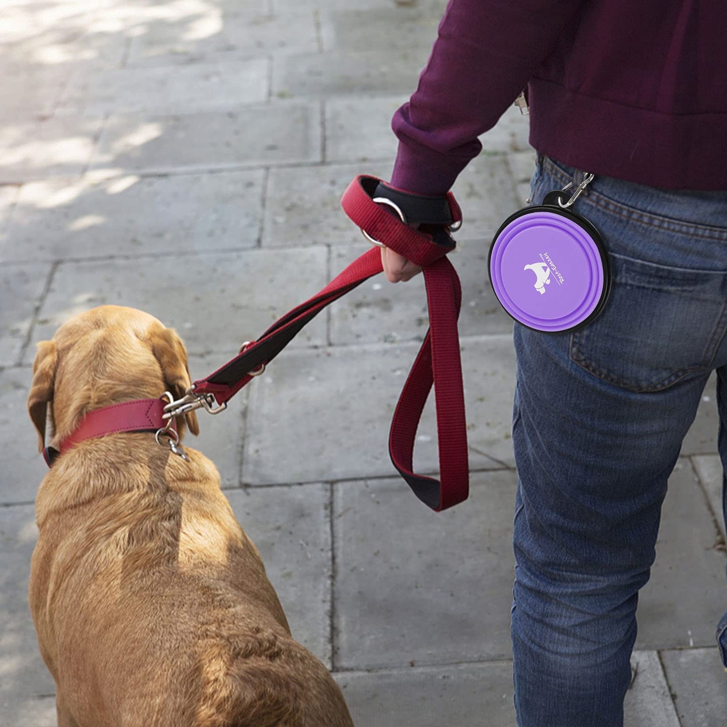 Collapsible Dog Bowls (2-Pack)
