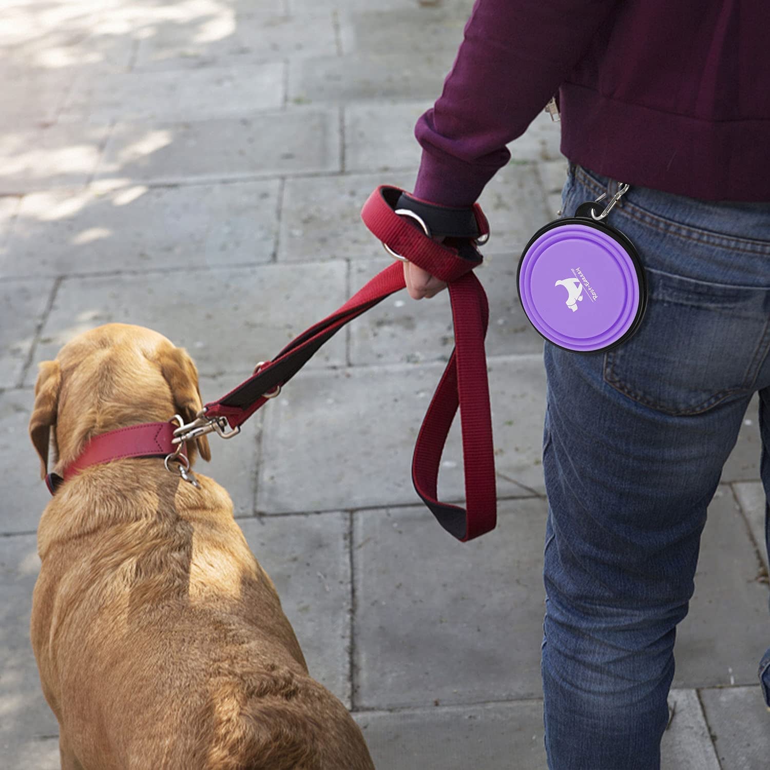 Collapsible Dog Bowls (2-Pack)