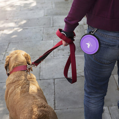 Collapsible Dog Bowls (2-Pack)