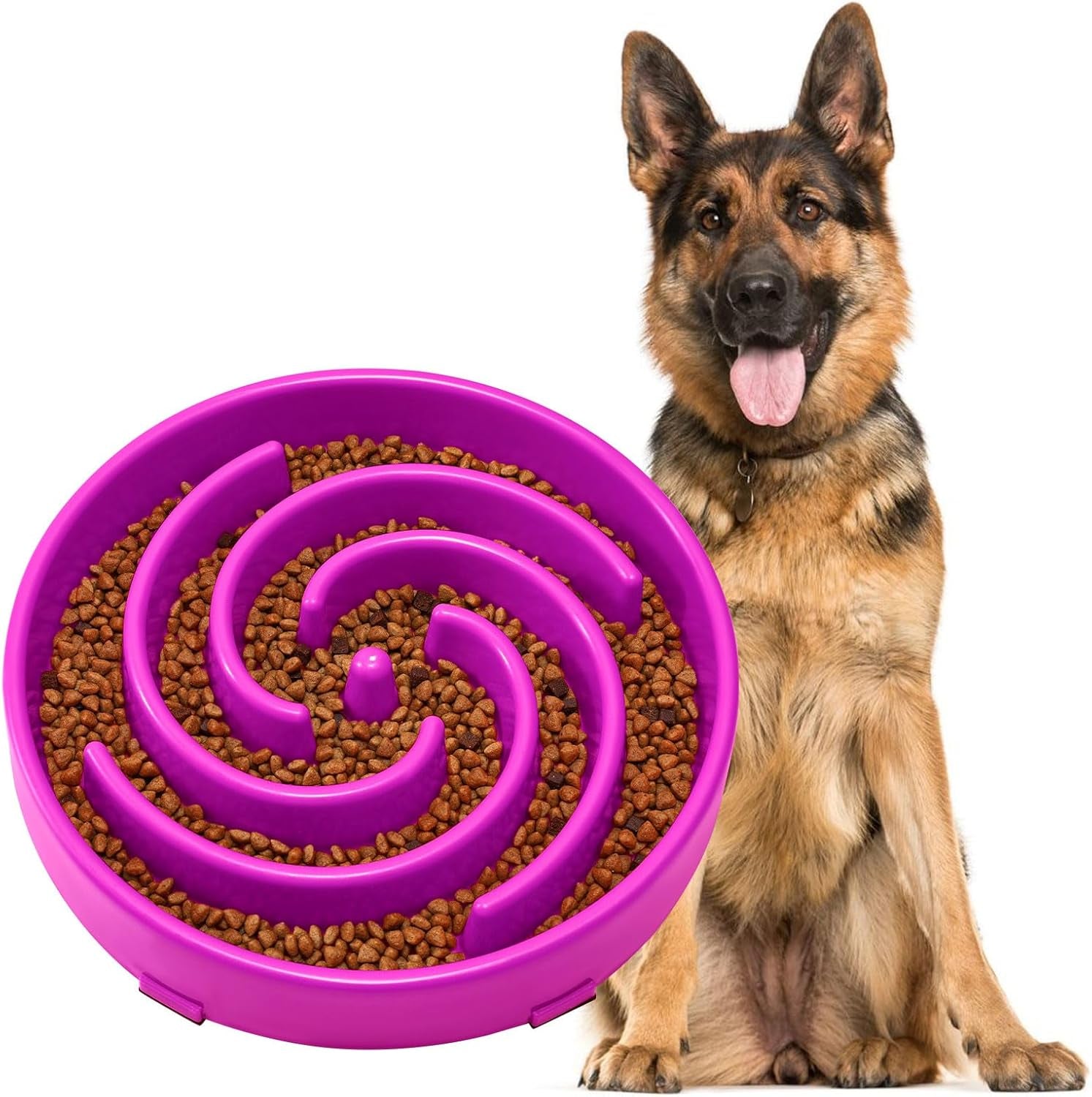 Slow Feeder Dog Bowl 