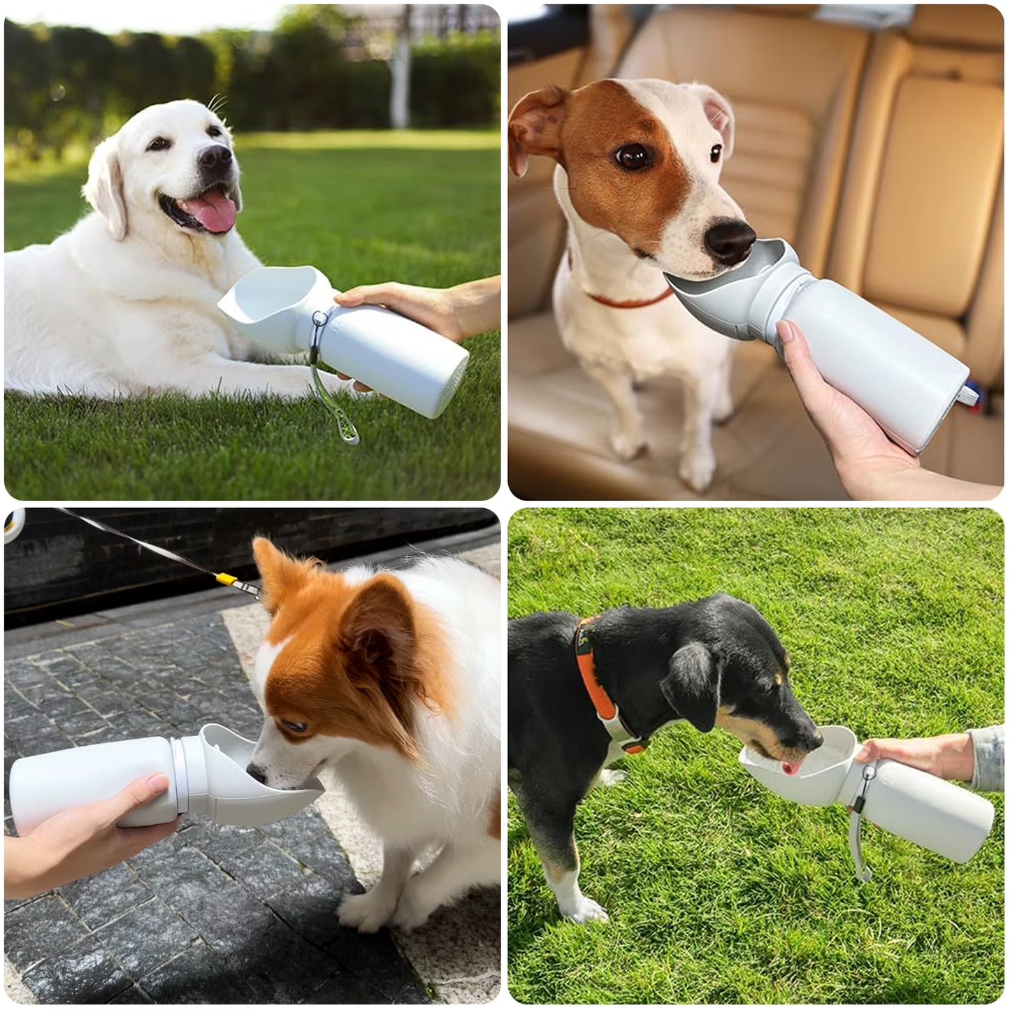 Dog Water Bottle - Leak-Proof Portable Dispenser for Travel, Hiking, and Walking (19 Oz)