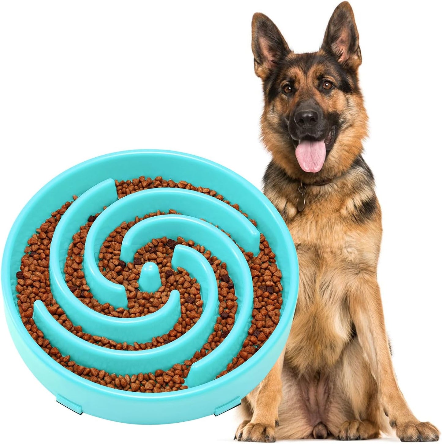Slow Feeder Dog Bowl 