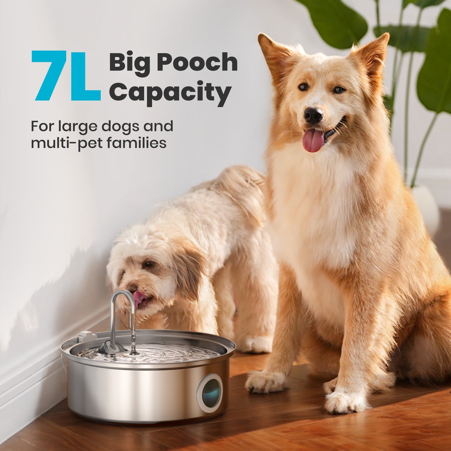 Ultimate 7L Stainless Steel Dog Water Fountain with Triple Filtration & Visual Window - Perfect for Large Dogs and Multiple Pets