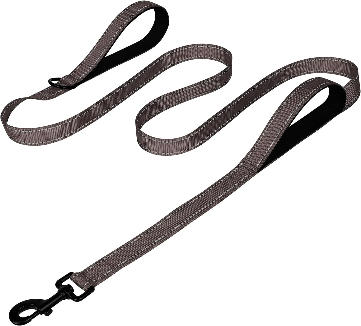Heavy Duty Nylon Dog Leash
