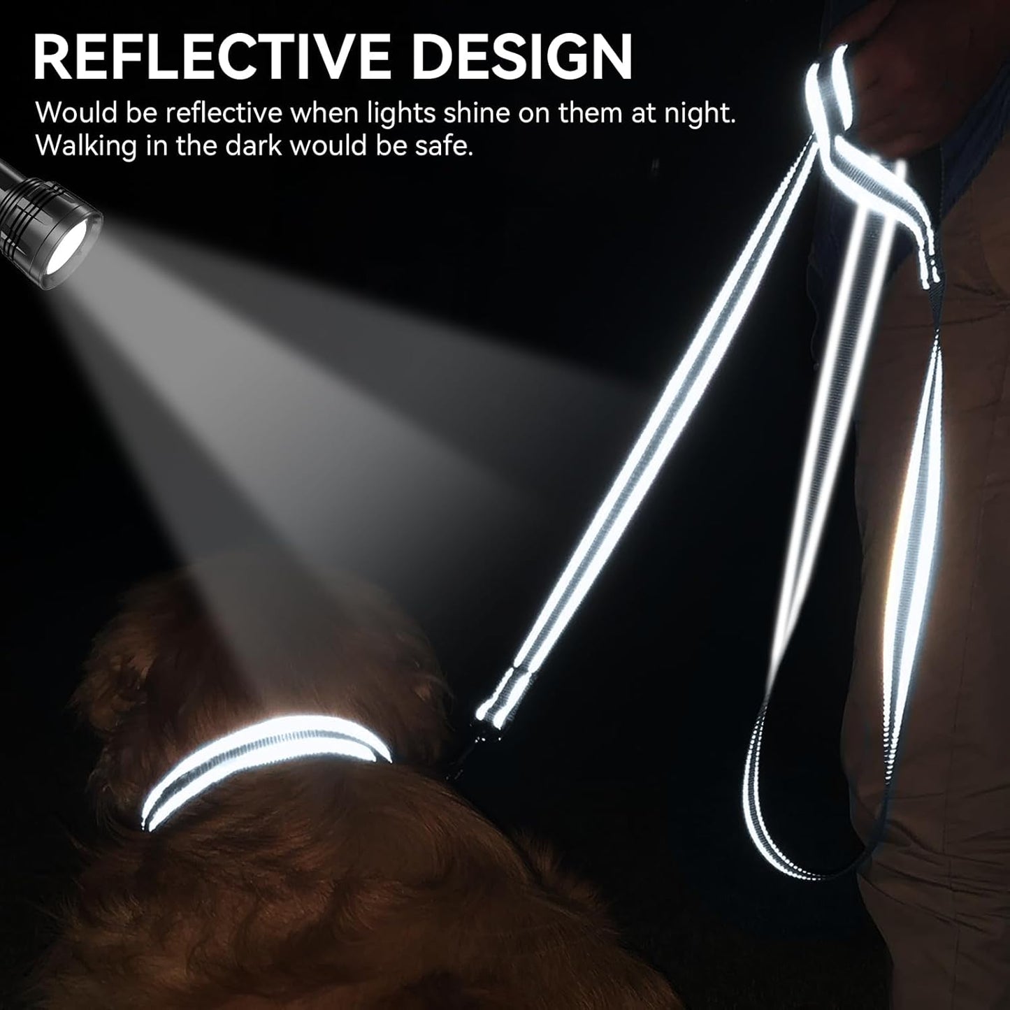 Heavy Duty Nylon Dog Leash