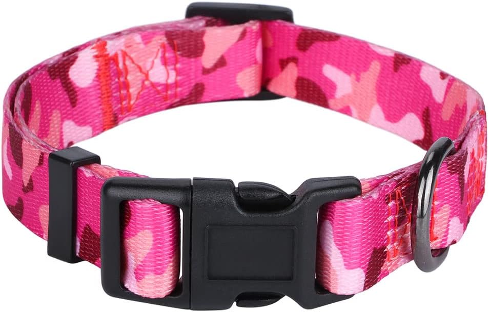 Charming Floral Dog Collar for Small Dogs - Perfect for Stylish Pups