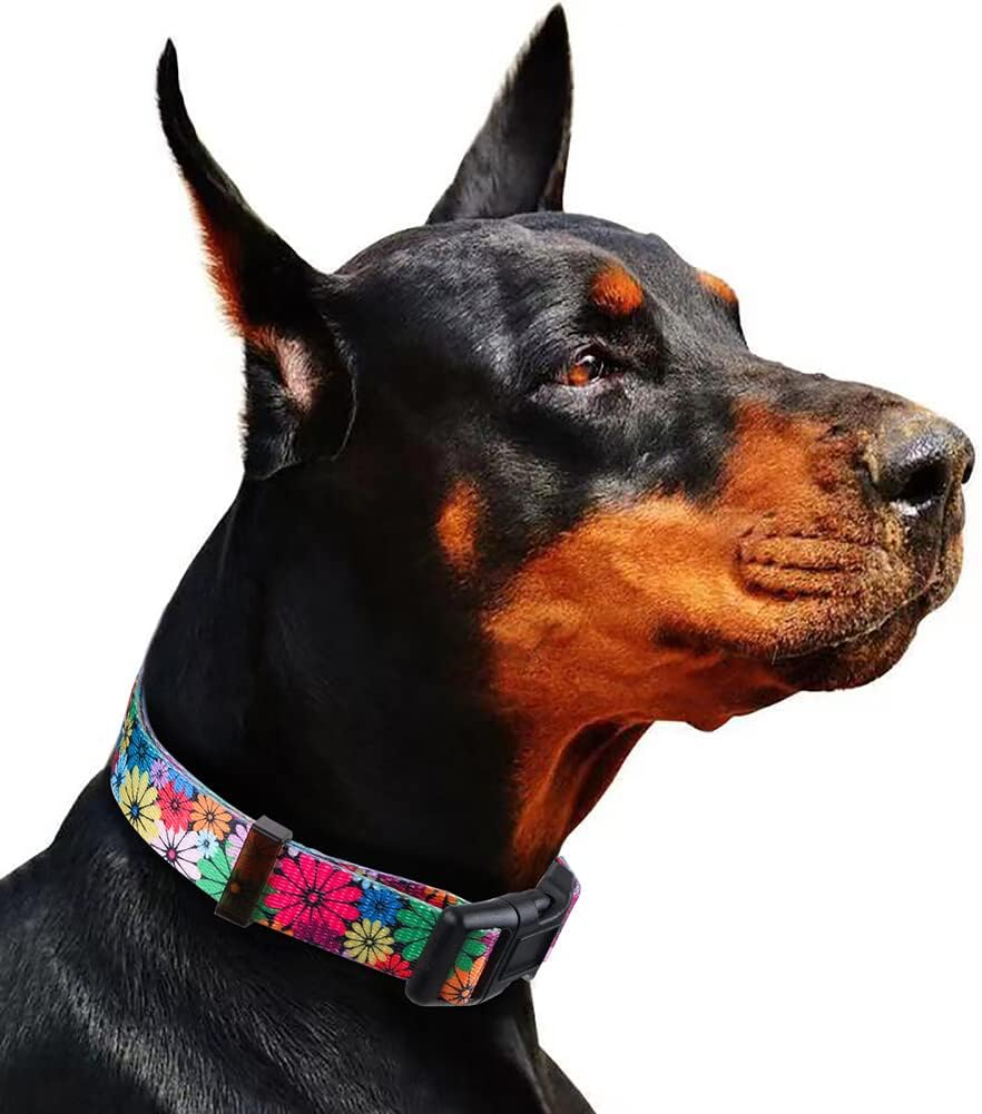 Charming Floral Dog Collar for Small Dogs - Perfect for Stylish Pups