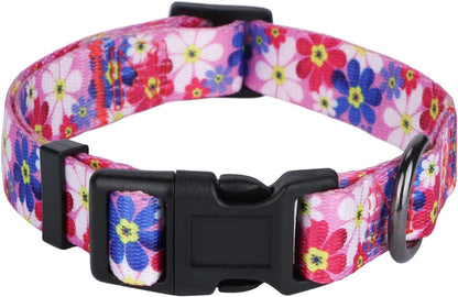 Charming Floral Dog Collar for Small Dogs - Perfect for Stylish Pups