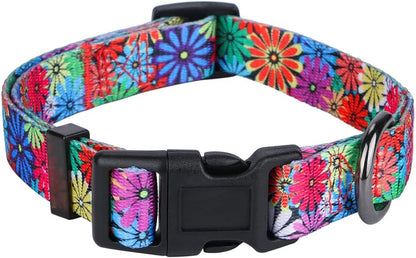 Charming Floral Dog Collar for Small Dogs - Perfect for Stylish Pups