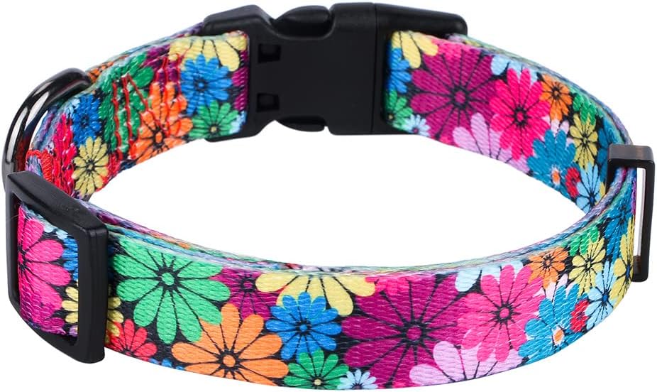 Charming Floral Dog Collar for Small Dogs - Perfect for Stylish Pups