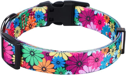 Charming Floral Dog Collar for Small Dogs - Perfect for Stylish Pups