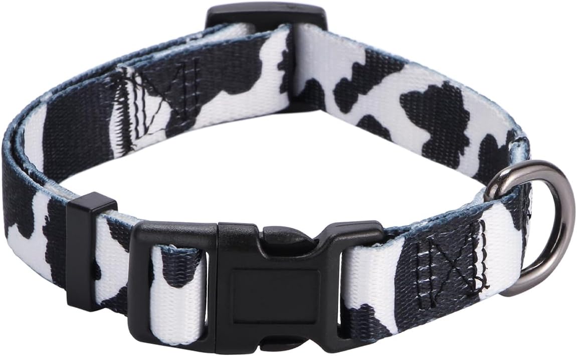 Charming Floral Dog Collar for Small Dogs - Perfect for Stylish Pups