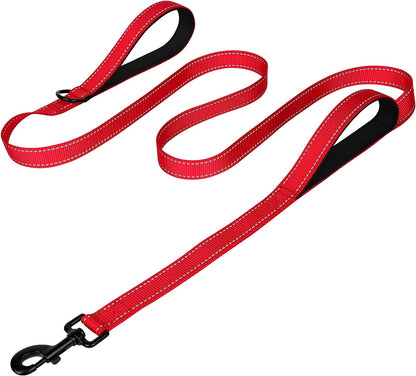 Heavy Duty Nylon Dog Leash