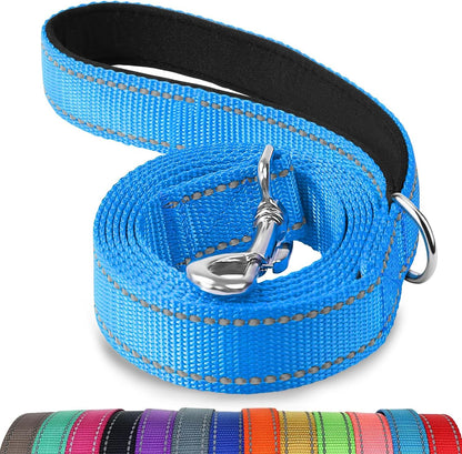 Heavy Duty Nylon Dog Leash