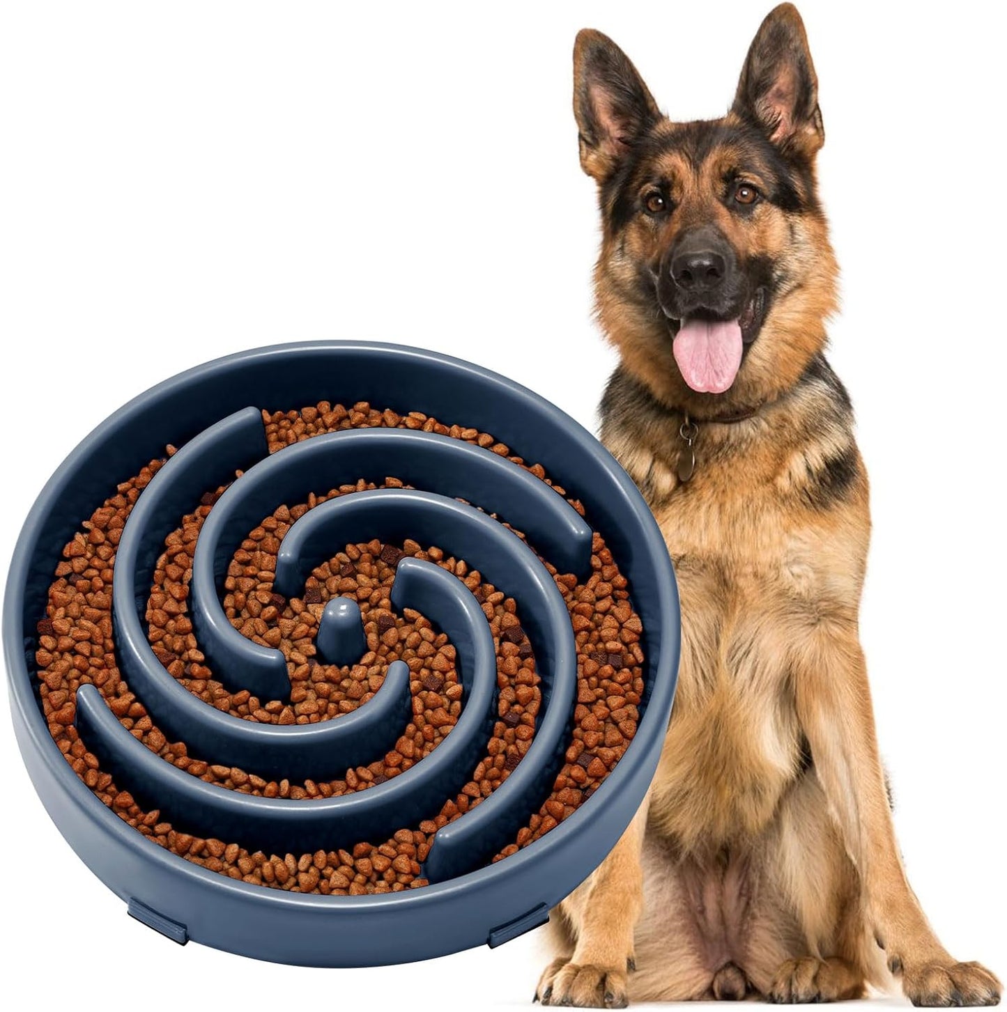 Slow Feeder Dog Bowl 