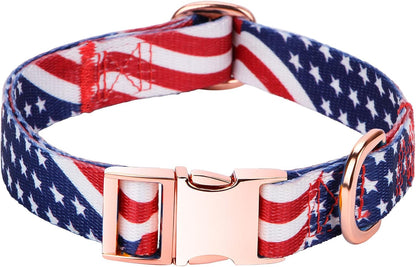 Charming Floral Dog Collar for Small Dogs - Perfect for Stylish Pups