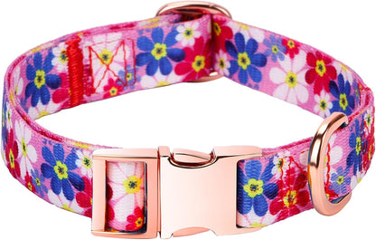 Charming Floral Dog Collar for Small Dogs - Perfect for Stylish Pups