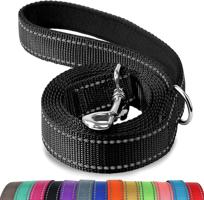 Heavy Duty Nylon Dog Leash