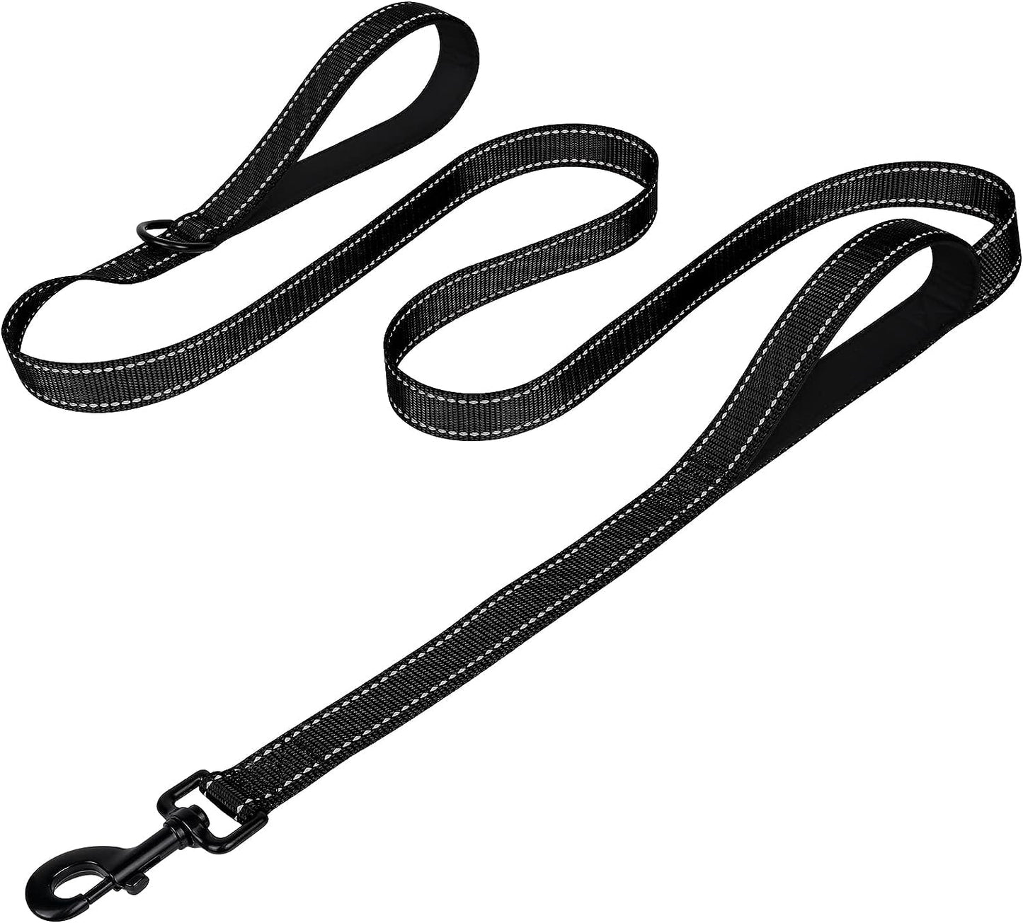 Heavy Duty Nylon Dog Leash