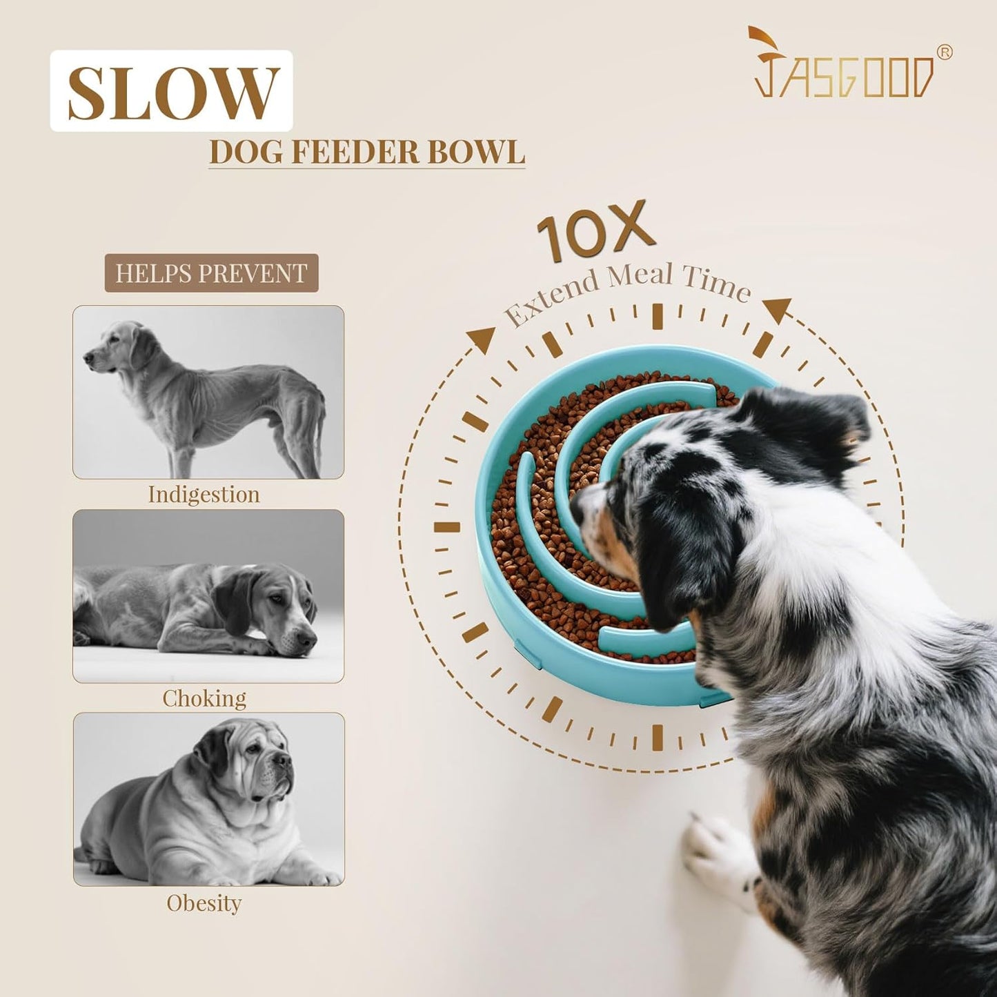 Slow Feeder Dog Bowl 