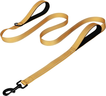 Heavy Duty Nylon Dog Leash