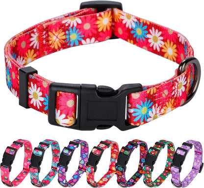 Charming Floral Dog Collar for Small Dogs - Perfect for Stylish Pups