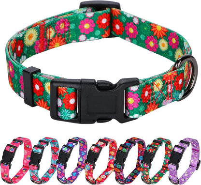 Charming Floral Dog Collar for Small Dogs - Perfect for Stylish Pups
