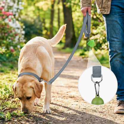 Heavy Duty Nylon Dog Leash