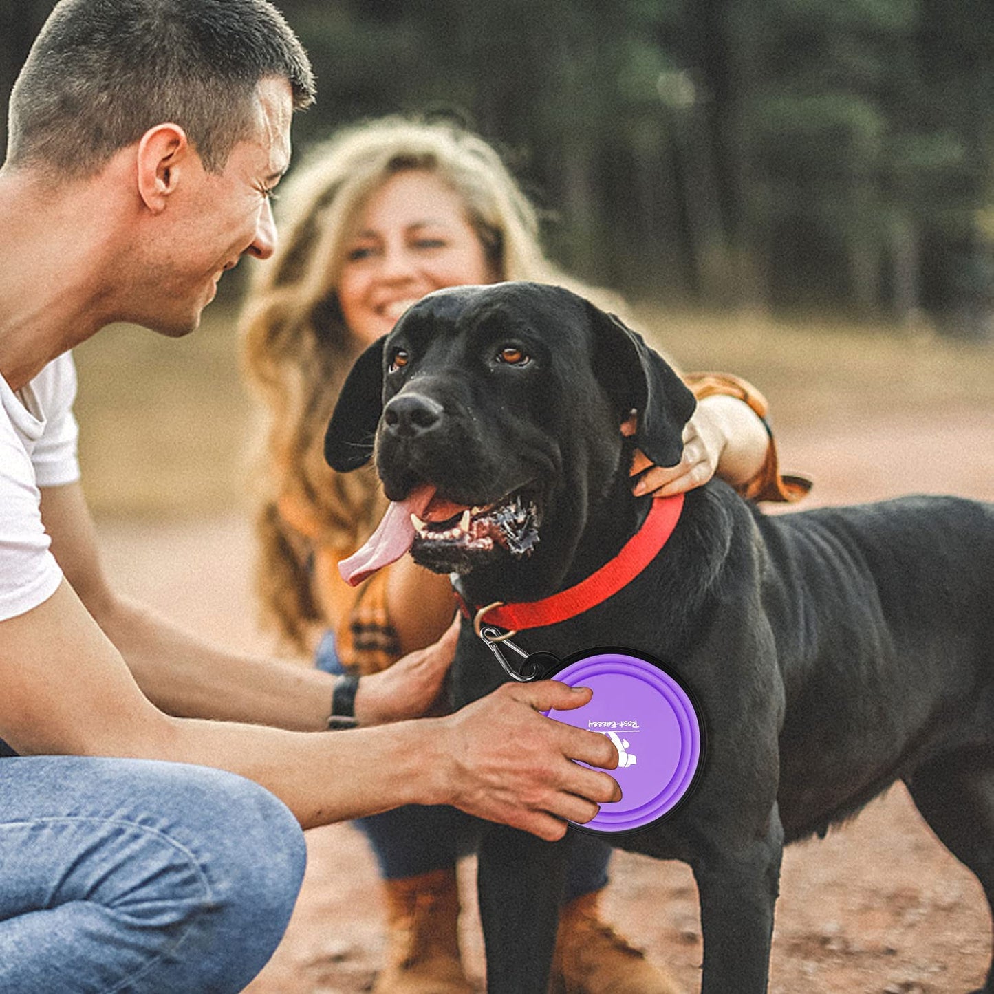 Collapsible Dog Bowls (2-Pack)