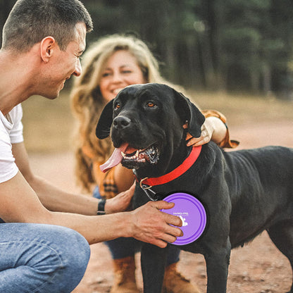 Collapsible Dog Bowls (2-Pack)