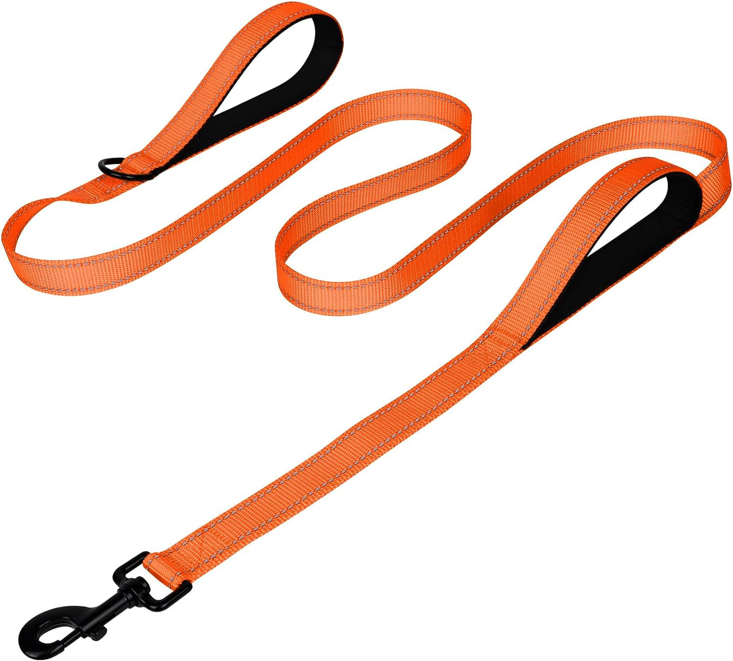 Heavy Duty Nylon Dog Leash