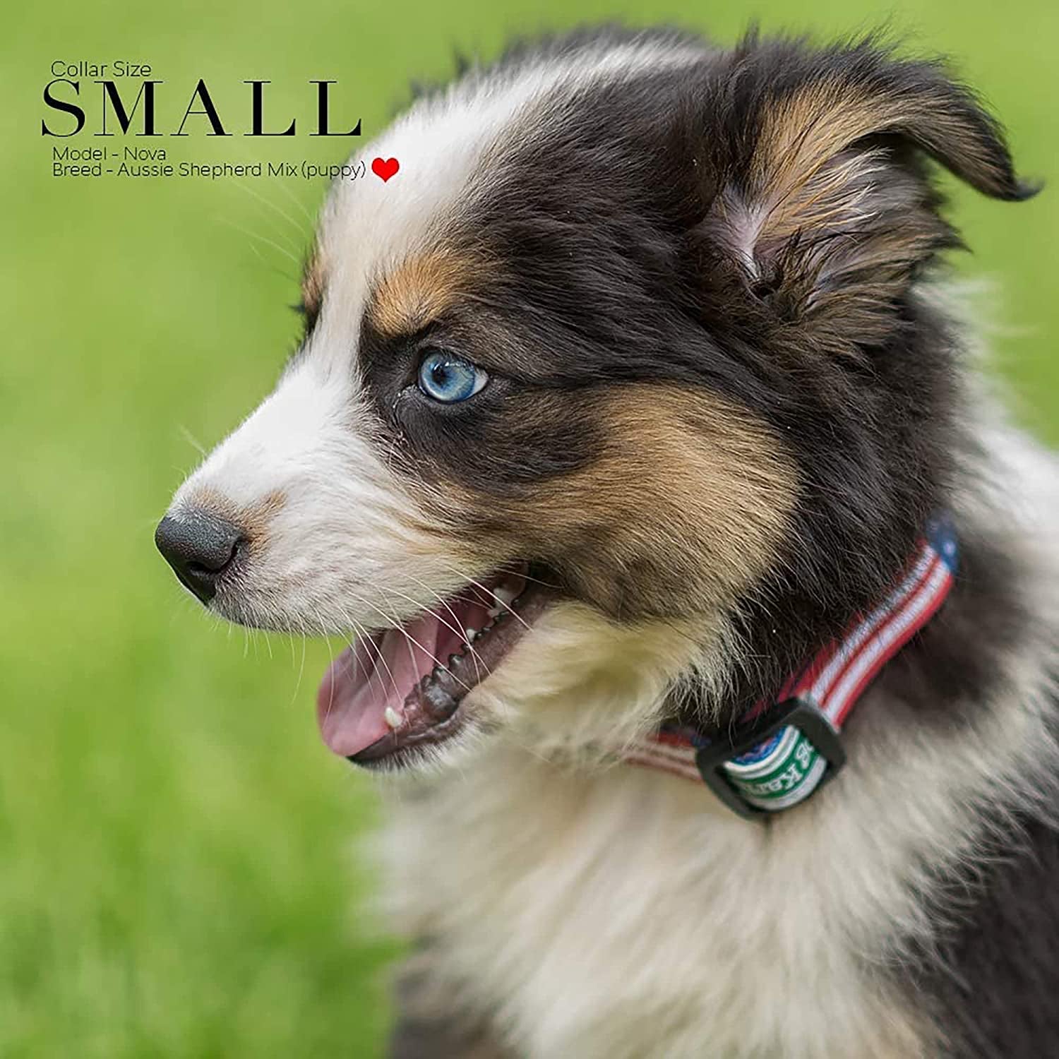 American Flag Dog Collar 