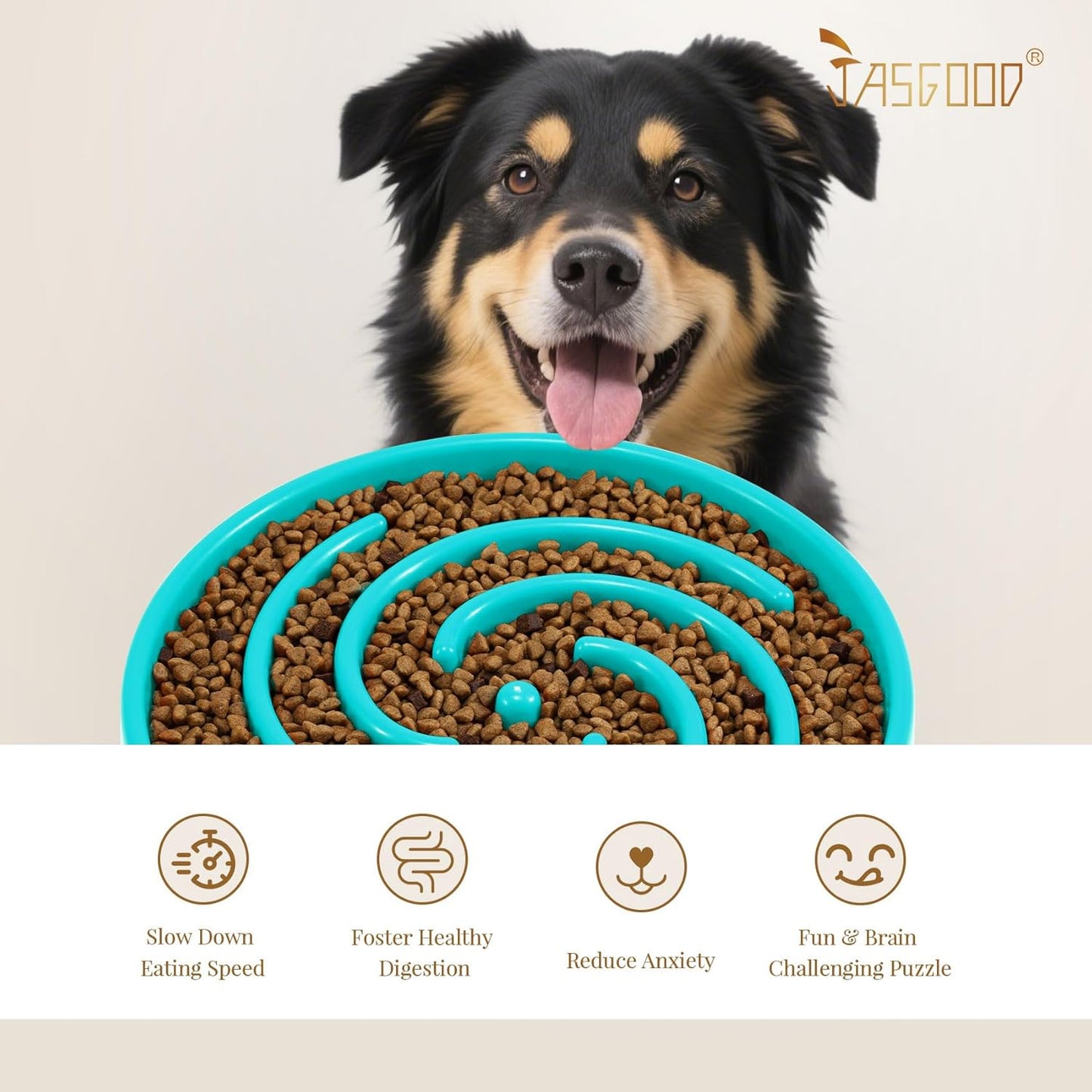 Slow Feeder Dog Bowl 