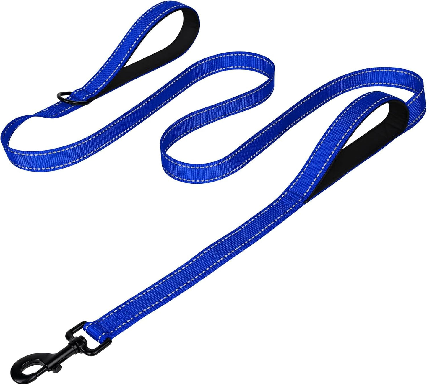 Heavy Duty Nylon Dog Leash