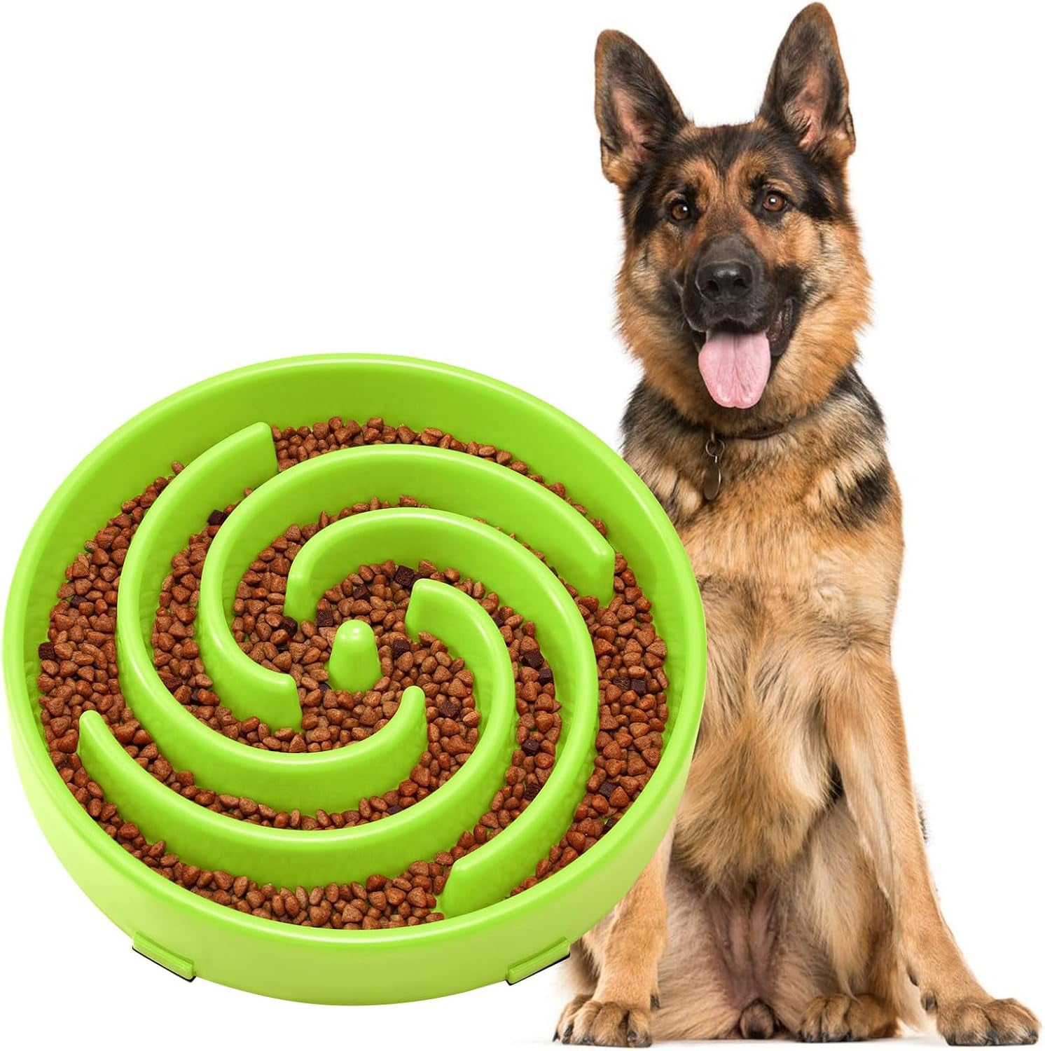 Slow Feeder Dog Bowl 