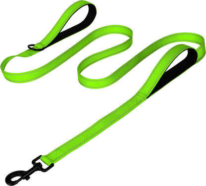 Heavy Duty Nylon Dog Leash
