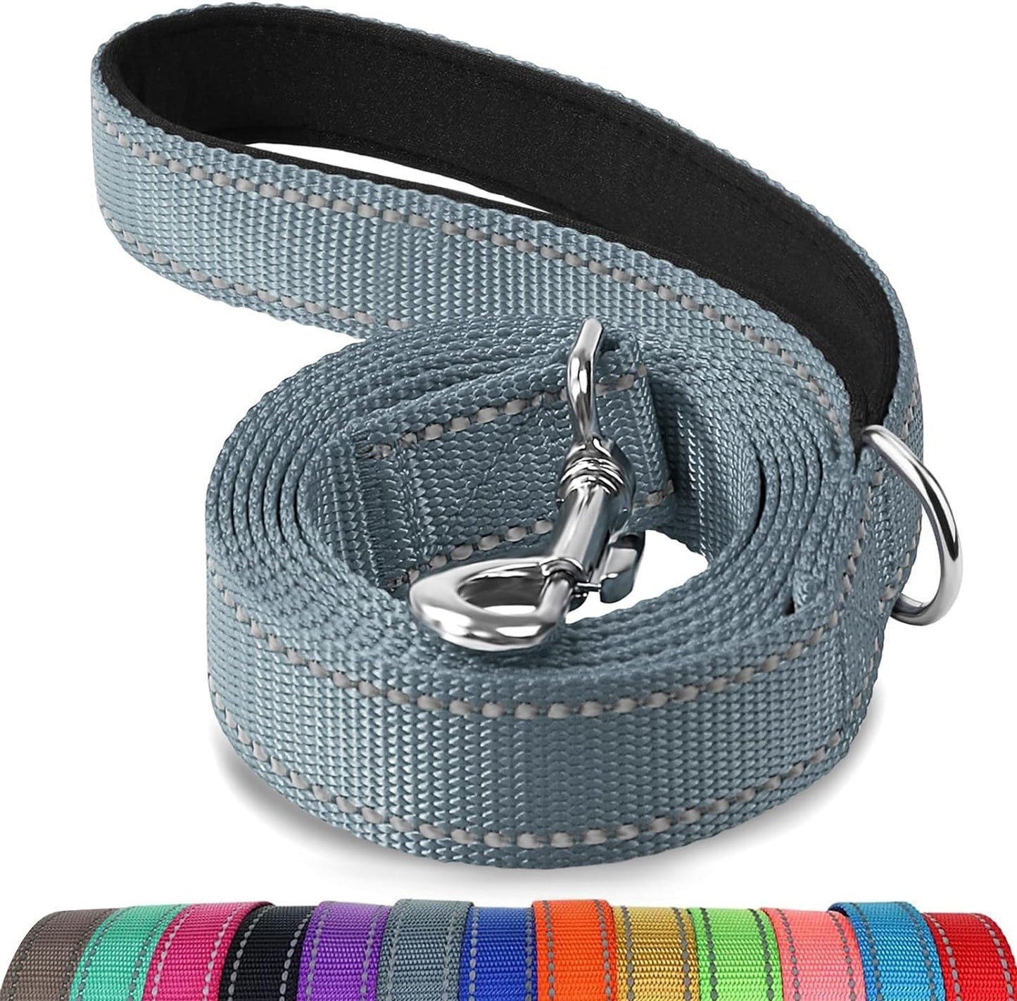 Heavy Duty Nylon Dog Leash