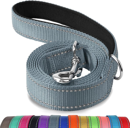 Heavy Duty Nylon Dog Leash