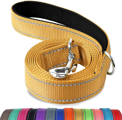 Heavy Duty Nylon Dog Leash