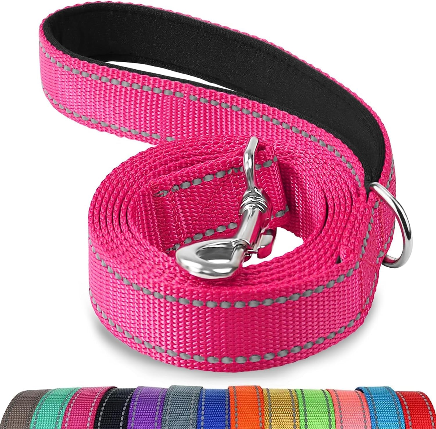 Heavy Duty Nylon Dog Leash