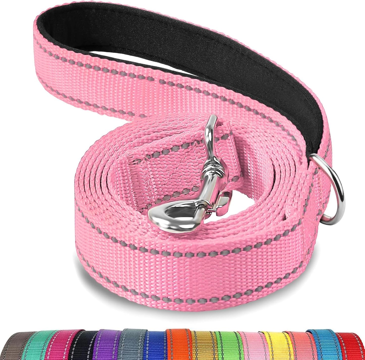 Heavy Duty Nylon Dog Leash